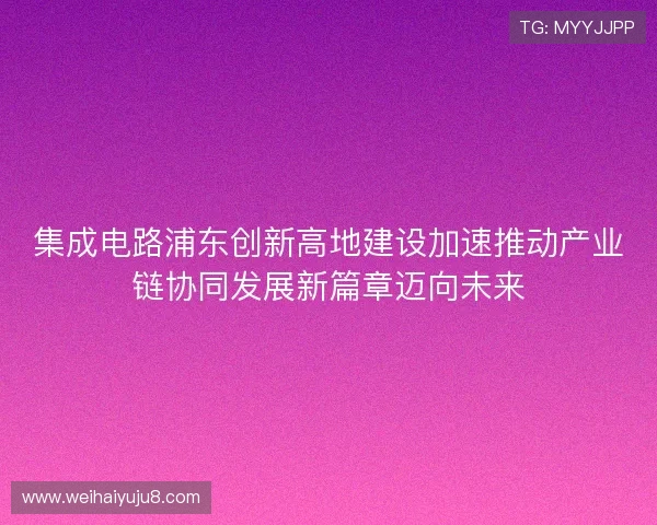 集成电路浦东创新高地建设加速推动产业链协同发展新篇章迈向未来
